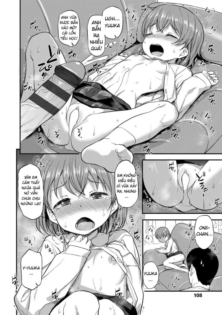 Nhiệm Vụ Của Một Người Anh Oneshot page 14 - Giả Dược