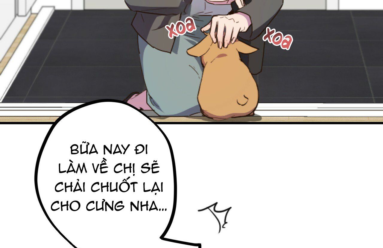 đọc truyện Những Chú Thỏ Của Hapypy Chương 1 ảnh 73 tại Giả Dược