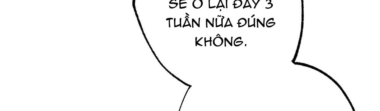 đọc truyện Những Chú Thỏ Của Hapypy Chương 10.2 ảnh 121 tại Giả Dược