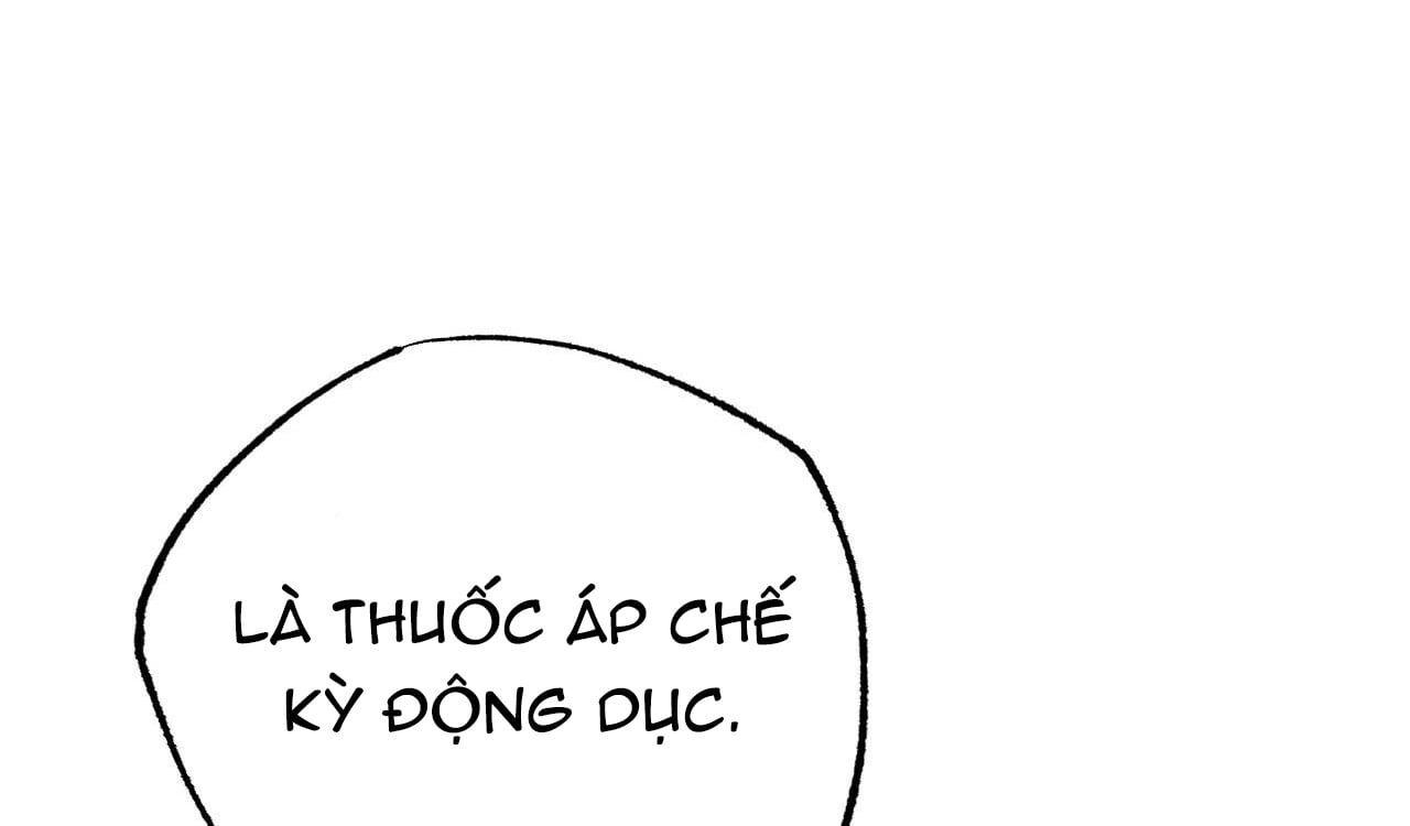 đọc truyện Những Chú Thỏ Của Hapypy Chương 10.2 ảnh 182 tại Giả Dược