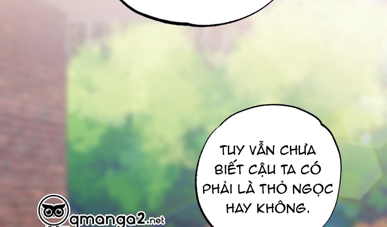 đọc truyện Những Chú Thỏ Của Hapypy Chương 10.2 ảnh 187 tại Giả Dược
