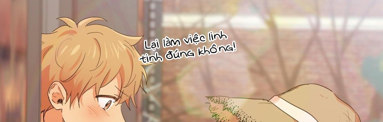 đọc truyện Những Chú Thỏ Của Hapypy Chương 10.2 ảnh 230 tại Giả Dược