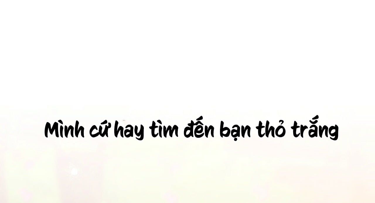 đọc truyện Những Chú Thỏ Của Hapypy Chương 11.1 ảnh 52 tại Giả Dược