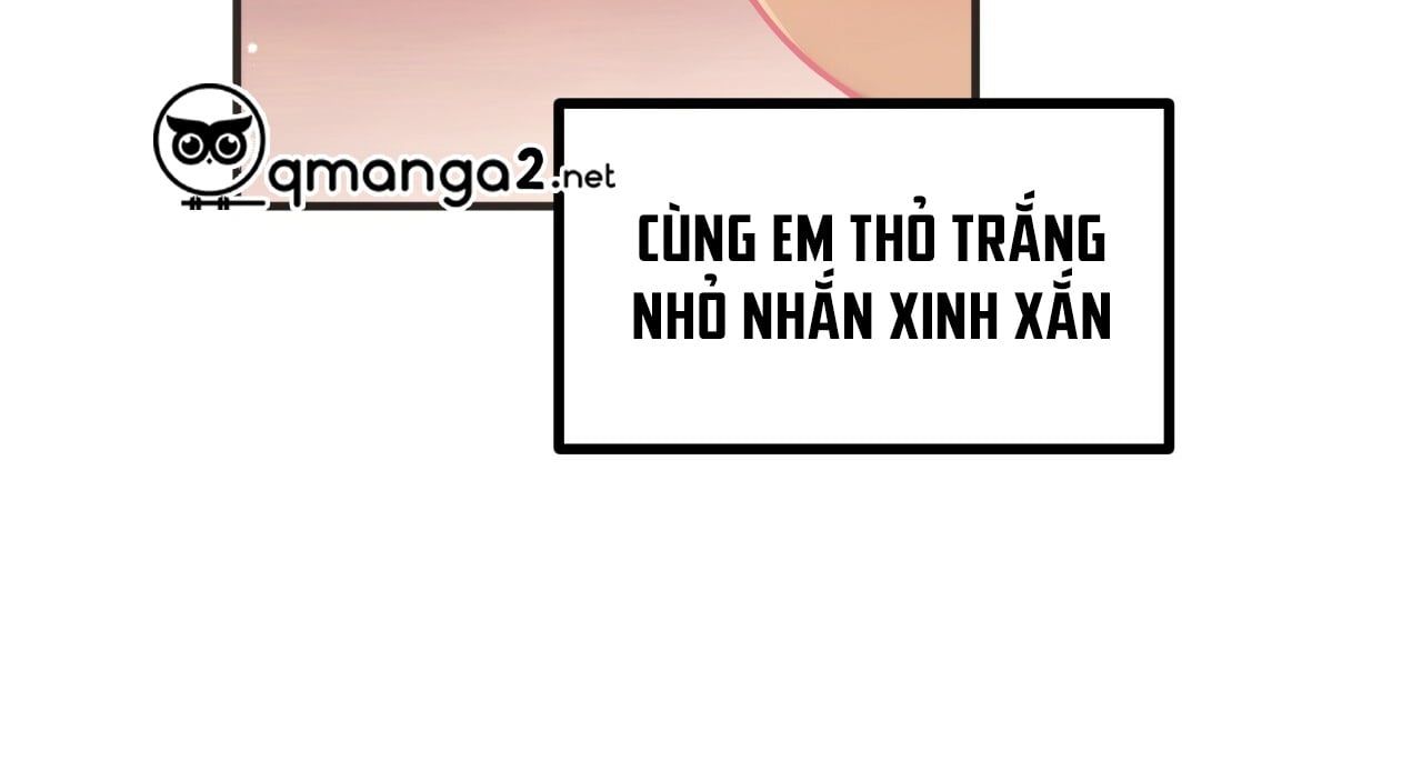 đọc truyện Những Chú Thỏ Của Hapypy Chương 11.1 ảnh 8 tại Giả Dược