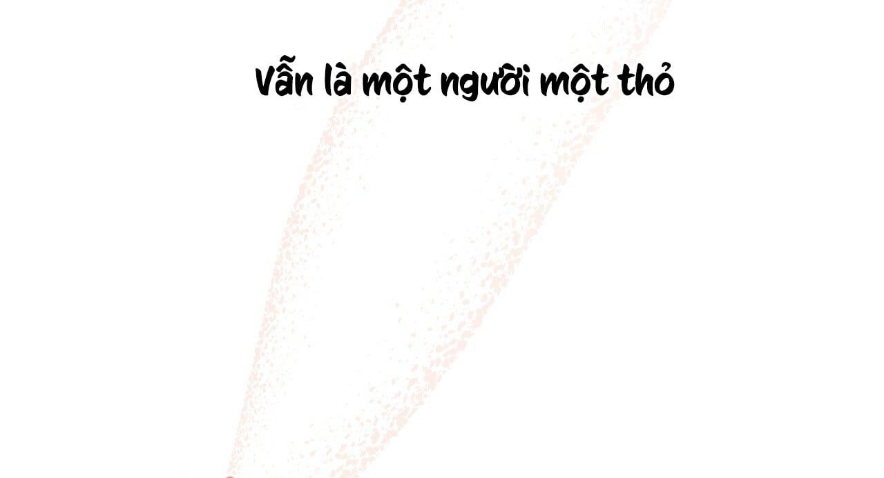 đọc truyện Những Chú Thỏ Của Hapypy Chương 11 ảnh 13 tại Giả Dược