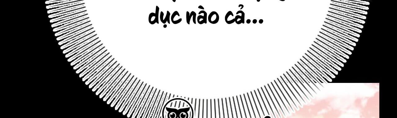 đọc truyện Những Chú Thỏ Của Hapypy Chương 12 ảnh 216 tại Giả Dược