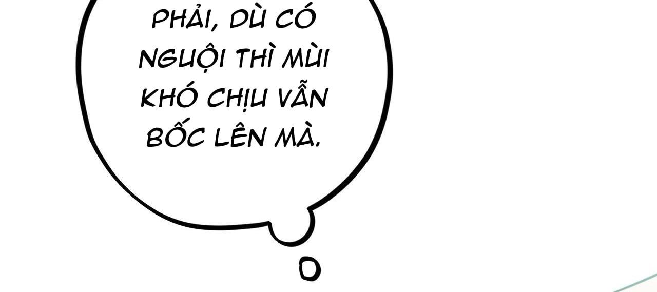 đọc truyện Những Chú Thỏ Của Hapypy Chương 12 ảnh 327 tại Giả Dược