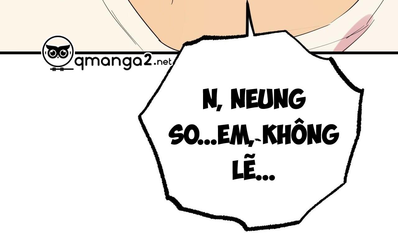 đọc truyện Những Chú Thỏ Của Hapypy Chương 12 ảnh 342 tại Giả Dược