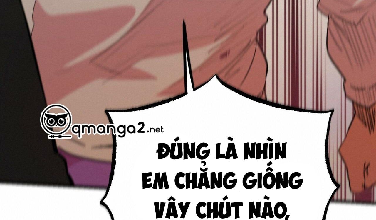 đọc truyện Những Chú Thỏ Của Hapypy Chương 12 ảnh 347 tại Giả Dược