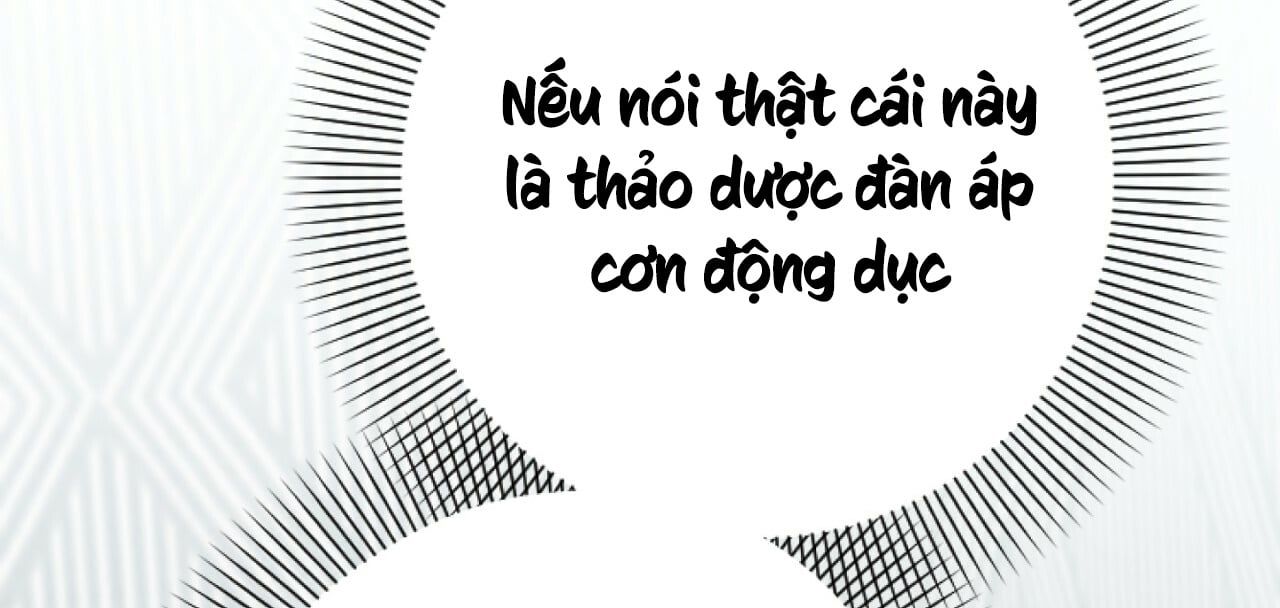 đọc truyện Những Chú Thỏ Của Hapypy Chương 12 ảnh 88 tại Giả Dược