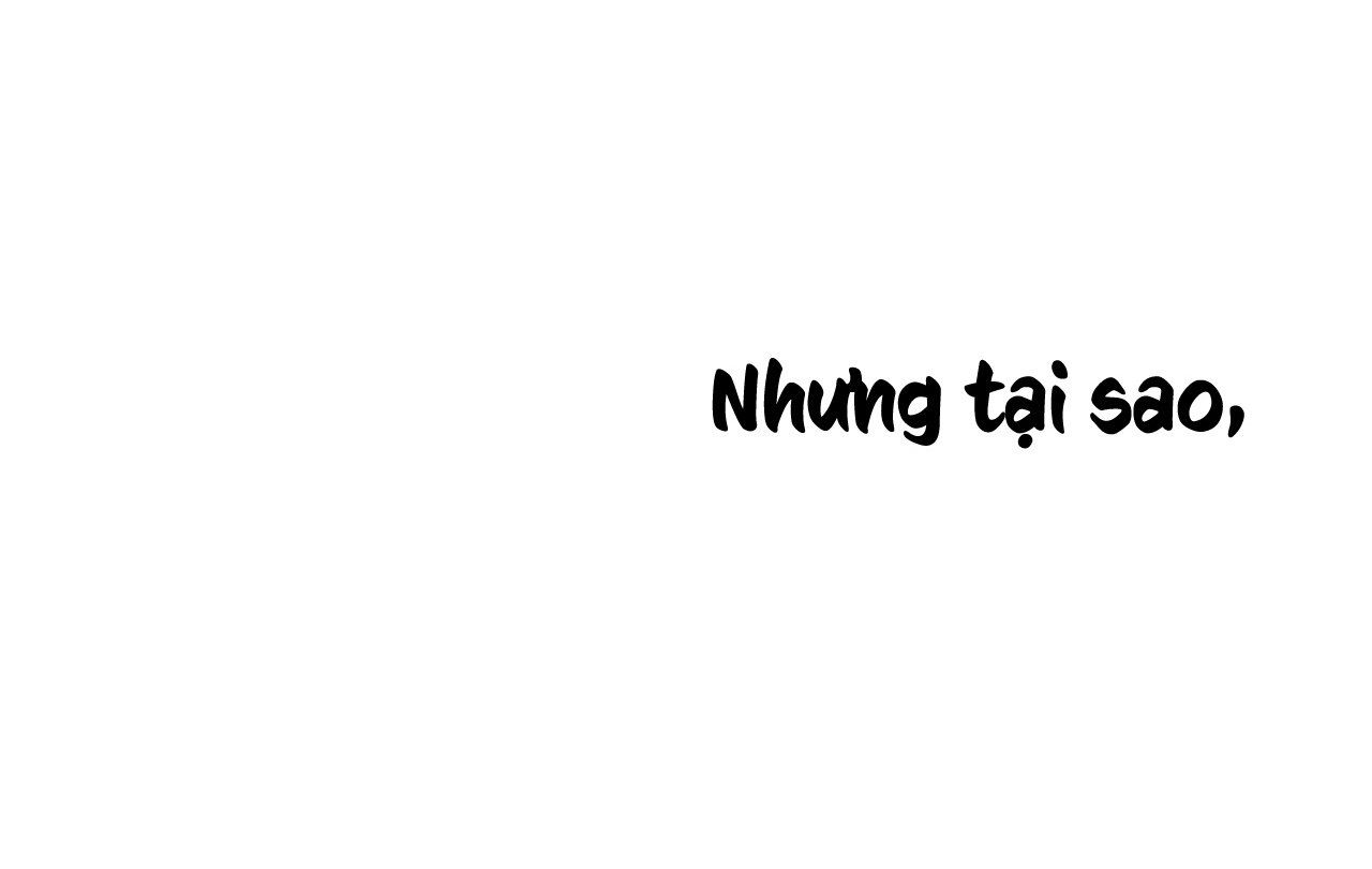 đọc truyện Những Chú Thỏ Của Hapypy Chương 13 ảnh 151 tại Giả Dược