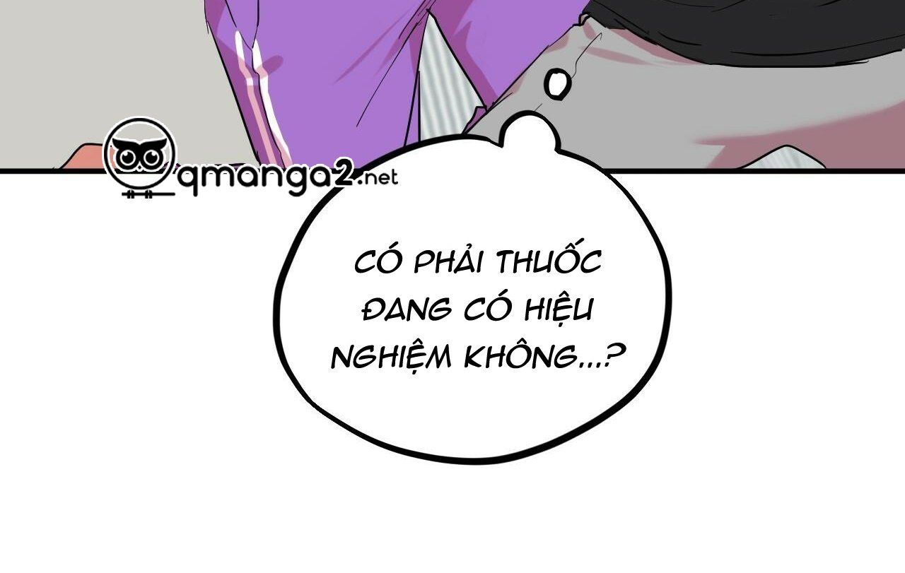 đọc truyện Những Chú Thỏ Của Hapypy Chương 13 ảnh 174 tại Giả Dược