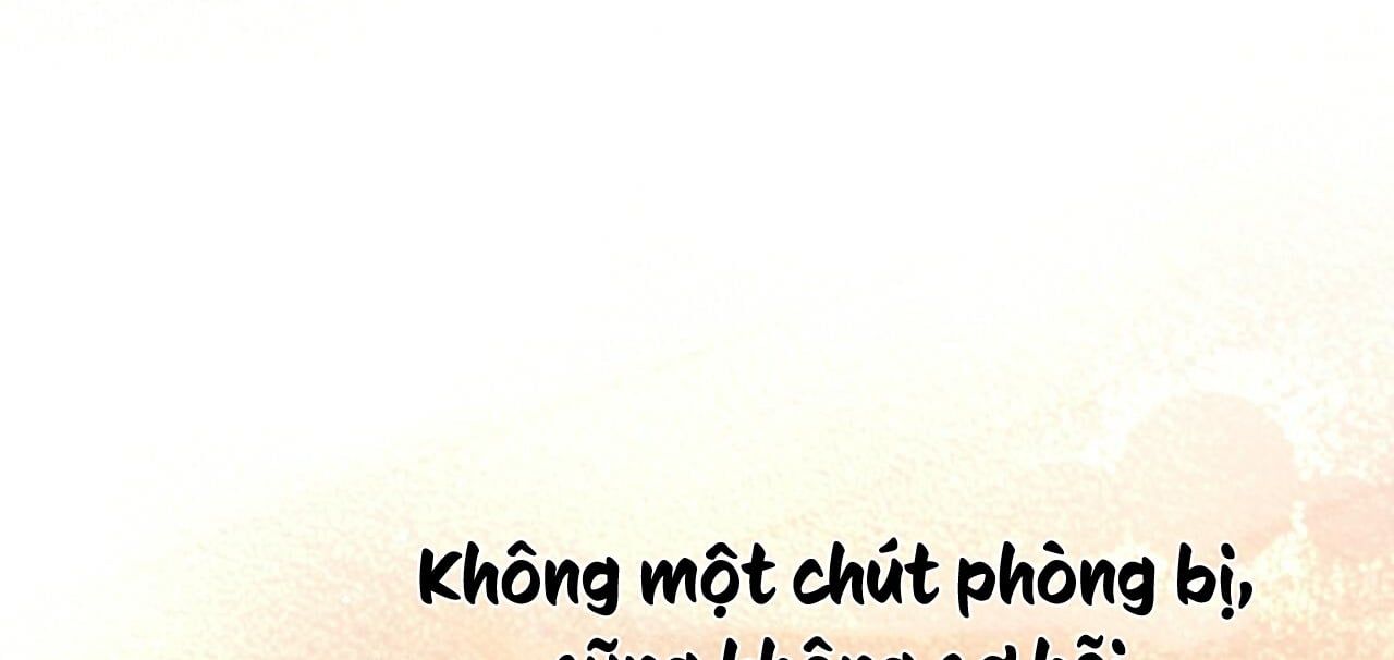 đọc truyện Những Chú Thỏ Của Hapypy Chương 13 ảnh 247 tại Giả Dược