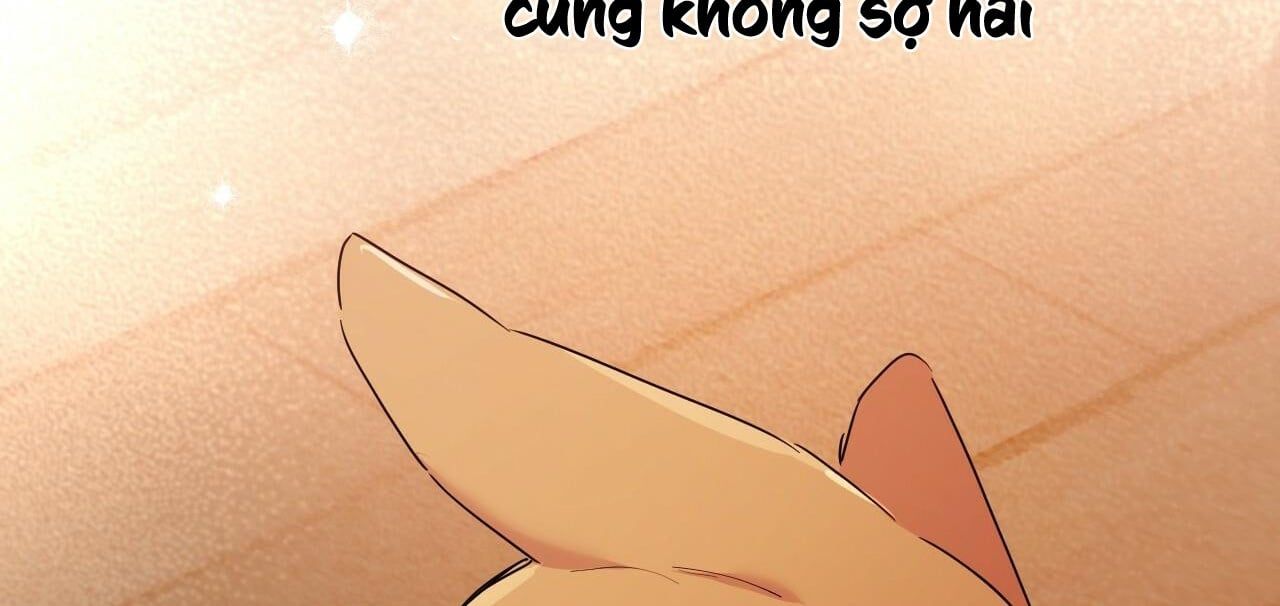 đọc truyện Những Chú Thỏ Của Hapypy Chương 13 ảnh 248 tại Giả Dược