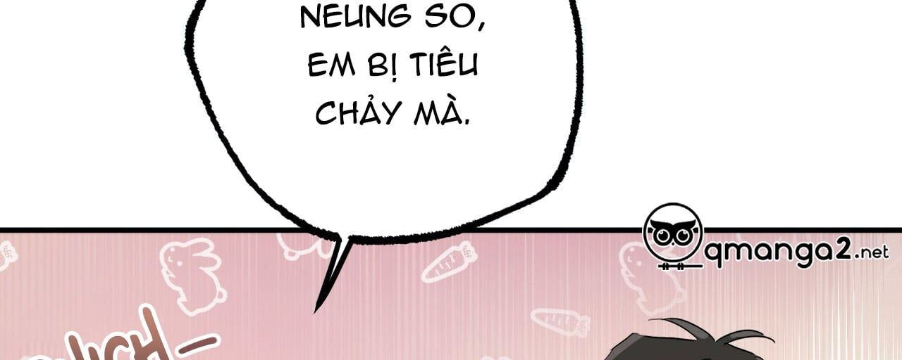 đọc truyện Những Chú Thỏ Của Hapypy Chương 14 ảnh 167 tại Giả Dược