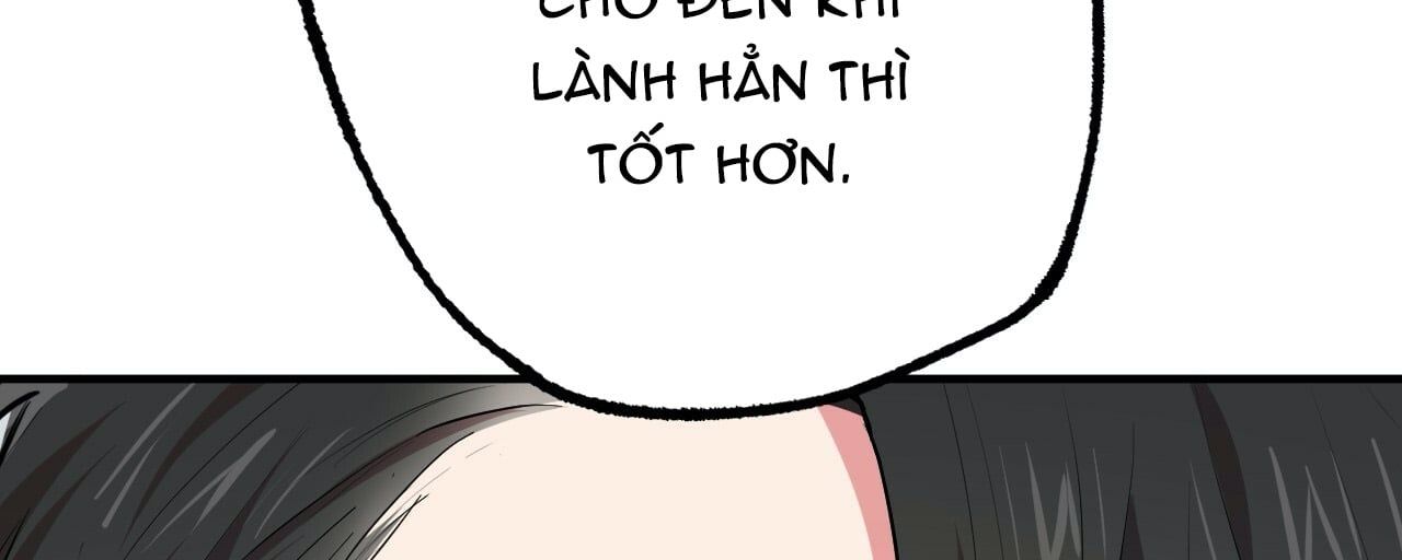 đọc truyện Những Chú Thỏ Của Hapypy Chương 14 ảnh 179 tại Giả Dược