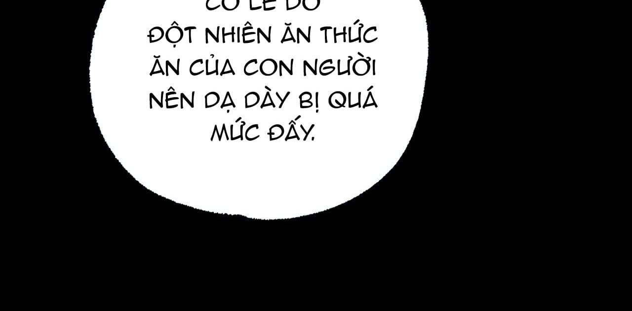 đọc truyện Những Chú Thỏ Của Hapypy Chương 14 ảnh 211 tại Giả Dược