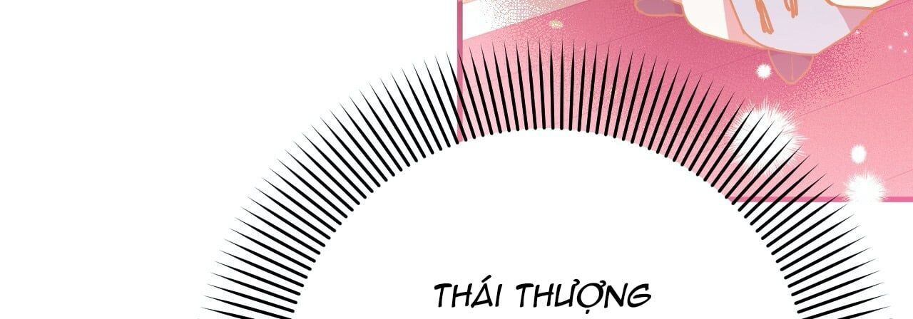 đọc truyện Những Chú Thỏ Của Hapypy Chương 14 ảnh 341 tại Giả Dược
