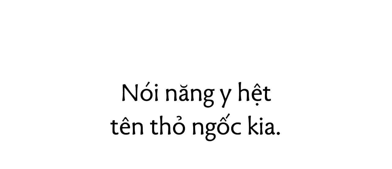 đọc truyện Những Chú Thỏ Của Hapypy Chương 14 ảnh 63 tại Giả Dược