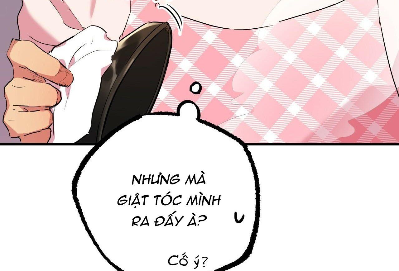 đọc truyện Những Chú Thỏ Của Hapypy Chương 15 ảnh 149 tại Giả Dược