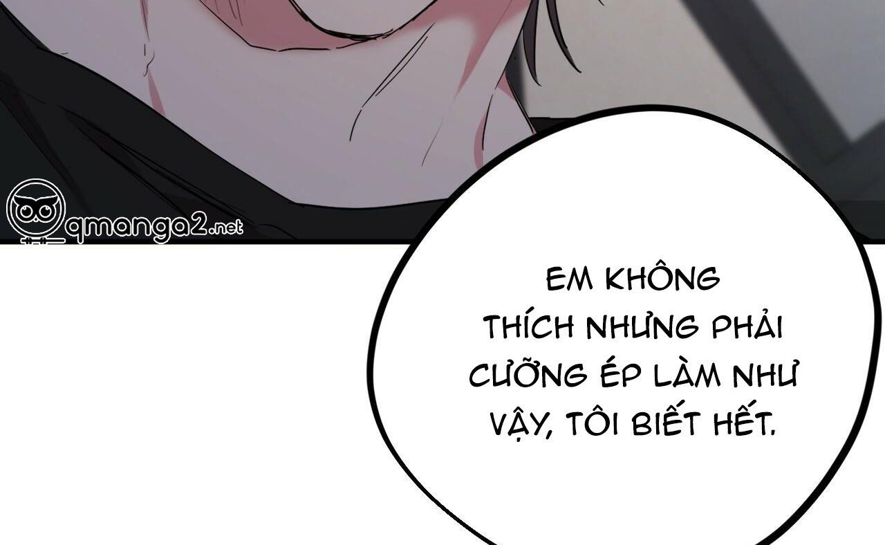 đọc truyện Những Chú Thỏ Của Hapypy Chương 15 ảnh 23 tại Giả Dược