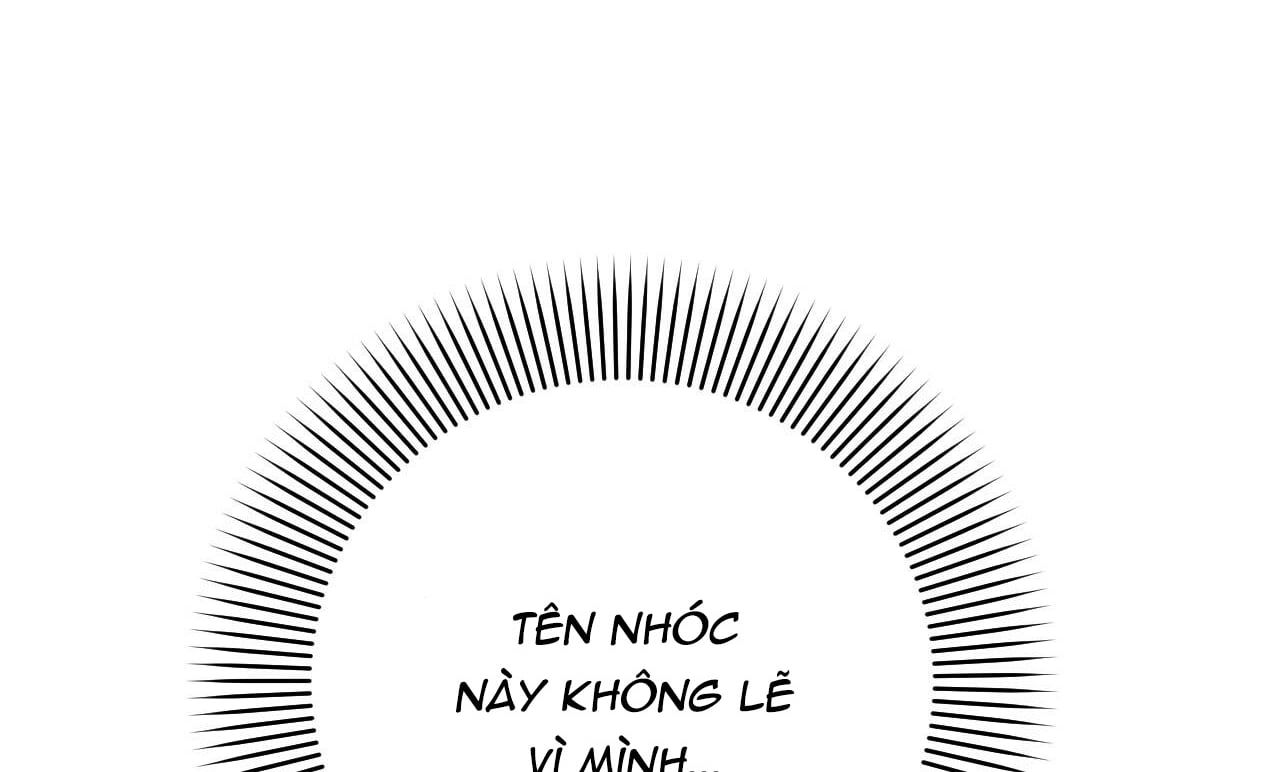 đọc truyện Những Chú Thỏ Của Hapypy Chương 15 ảnh 35 tại Giả Dược
