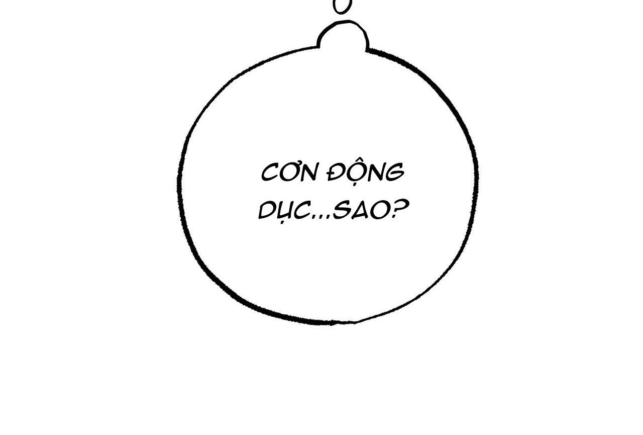 đọc truyện Những Chú Thỏ Của Hapypy Chương 16 ảnh 6 tại Giả Dược
