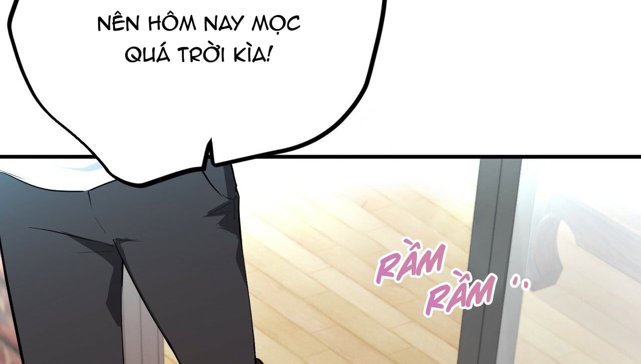 đọc truyện Những Chú Thỏ Của Hapypy Chương 16 ảnh 53 tại Giả Dược