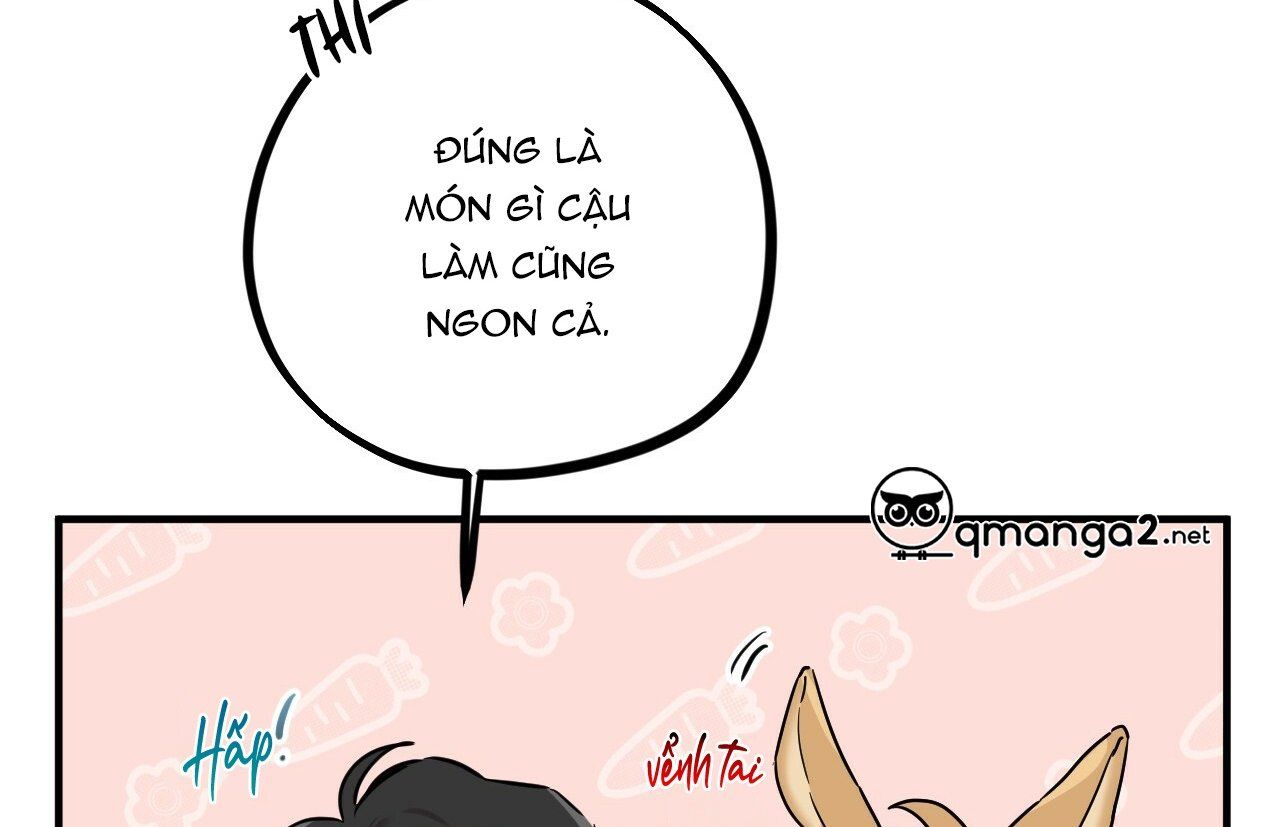 đọc truyện Những Chú Thỏ Của Hapypy Chương 18 ảnh 174 tại Giả Dược