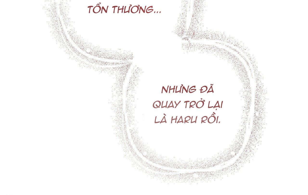 đọc truyện Những Chú Thỏ Của Hapypy Chương 18 ảnh 258 tại Giả Dược