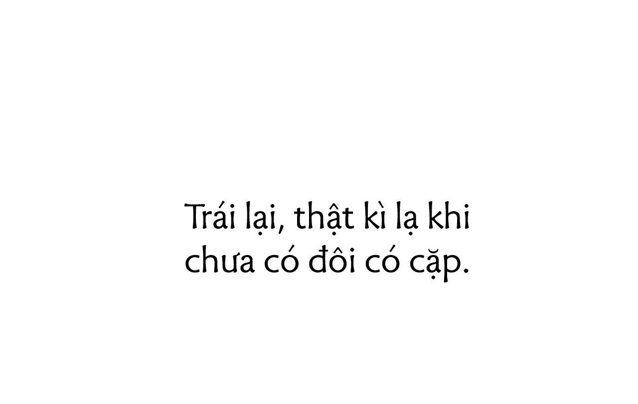 đọc truyện Những Chú Thỏ Của Hapypy Chương 18 ảnh 29 tại Giả Dược