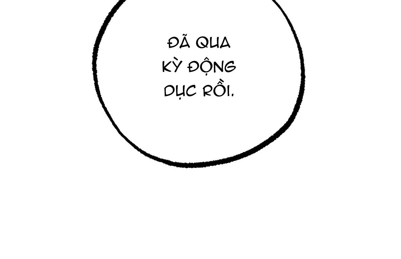 đọc truyện Những Chú Thỏ Của Hapypy Chương 18 ảnh 293 tại Giả Dược