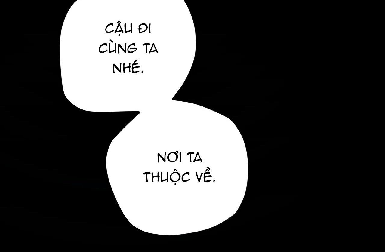 đọc truyện Những Chú Thỏ Của Hapypy Chương 19 ảnh 171 tại Giả Dược