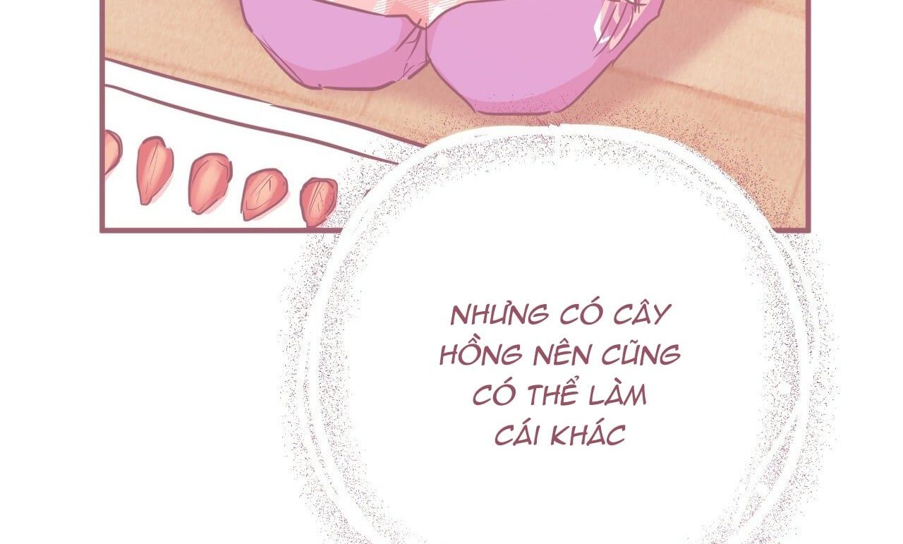 đọc truyện Những Chú Thỏ Của Hapypy Chương 19 ảnh 268 tại Giả Dược