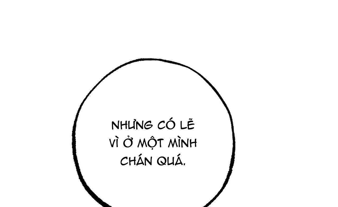 đọc truyện Những Chú Thỏ Của Hapypy Chương 19 ảnh 46 tại Giả Dược