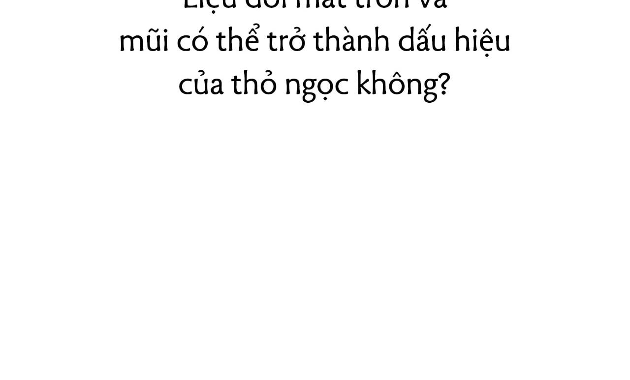 đọc truyện Những Chú Thỏ Của Hapypy Chương 19 ảnh 64 tại Giả Dược