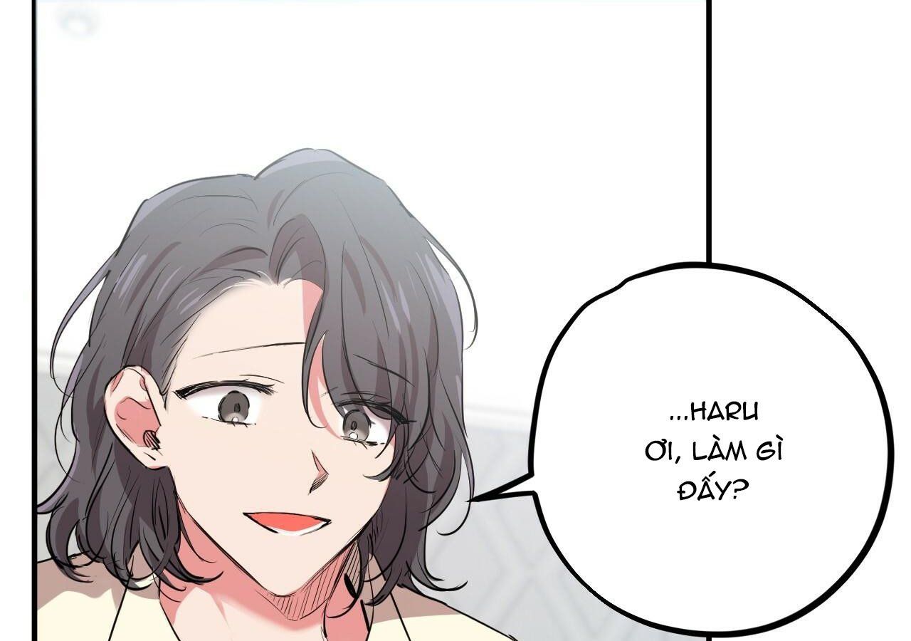 đọc truyện Những Chú Thỏ Của Hapypy Chương 20 ảnh 214 tại Giả Dược