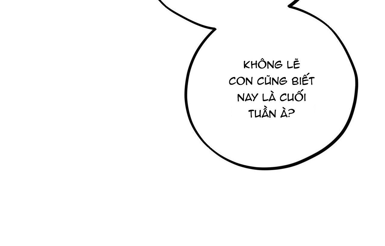 đọc truyện Những Chú Thỏ Của Hapypy Chương 20 ảnh 219 tại Giả Dược