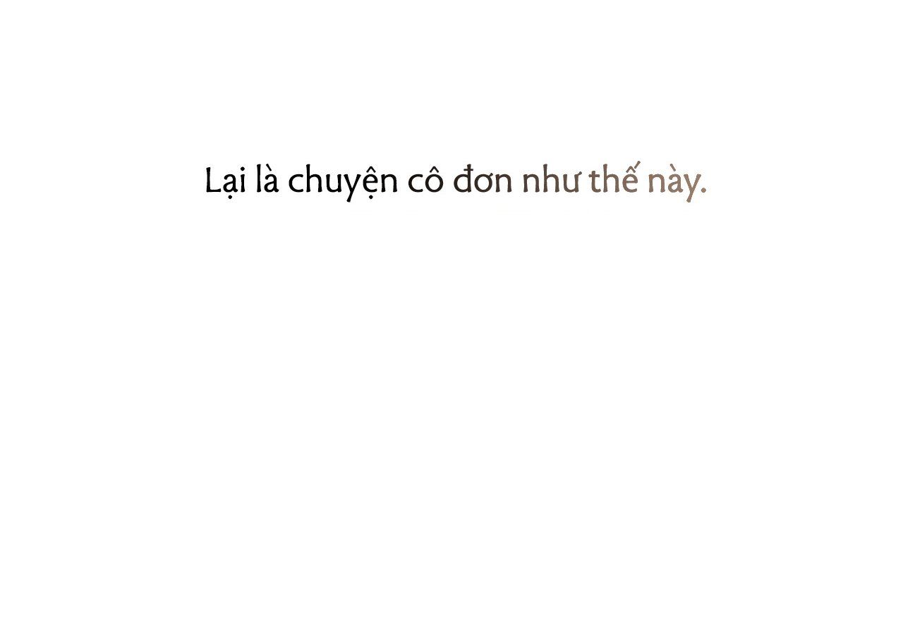đọc truyện Những Chú Thỏ Của Hapypy Chương 20 ảnh 264 tại Giả Dược