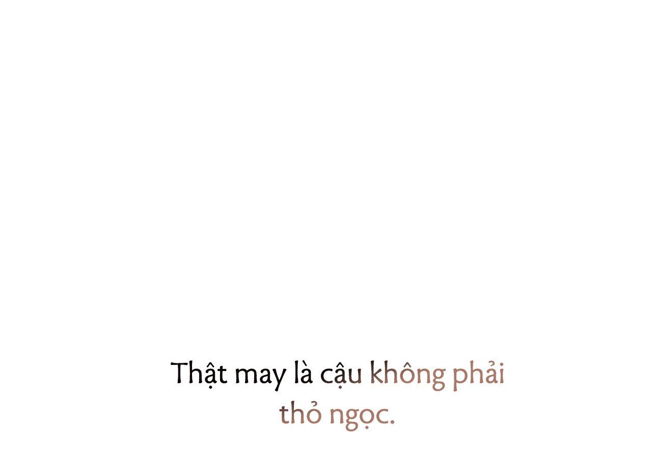 đọc truyện Những Chú Thỏ Của Hapypy Chương 21 ảnh 106 tại Giả Dược