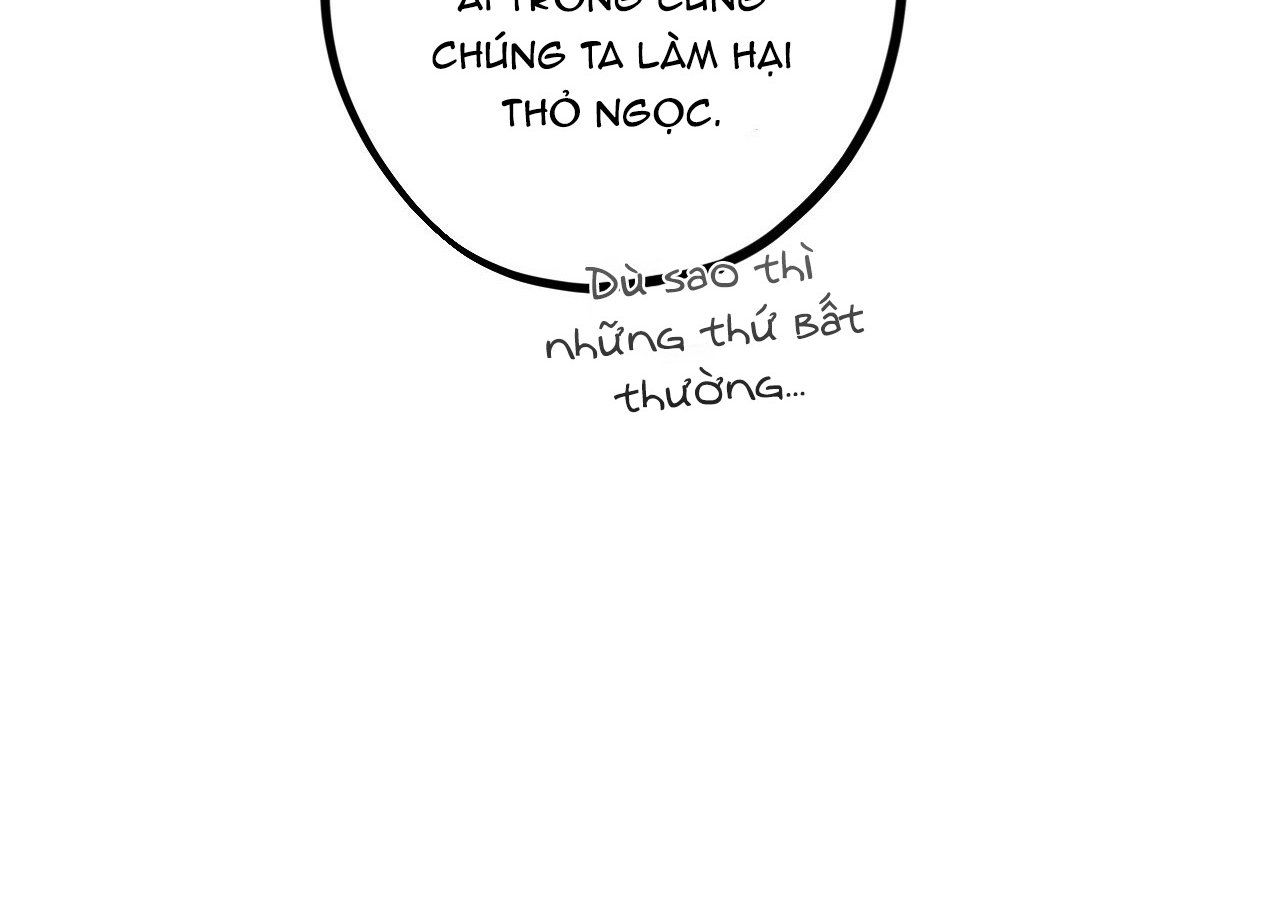 đọc truyện Những Chú Thỏ Của Hapypy Chương 21 ảnh 54 tại Giả Dược