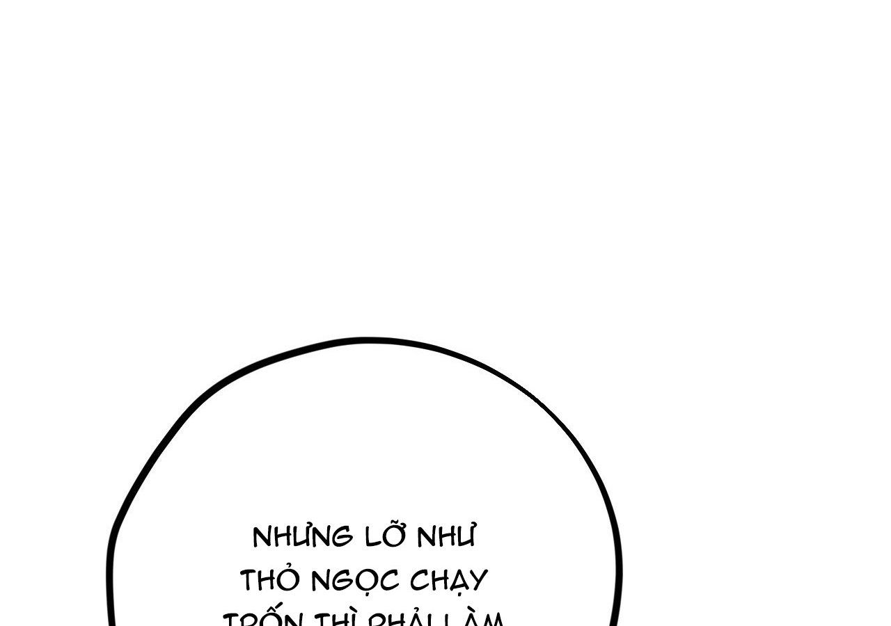 đọc truyện Những Chú Thỏ Của Hapypy Chương 21 ảnh 69 tại Giả Dược