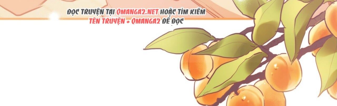 đọc truyện Những Chú Thỏ Của Hapypy Chương 22 ảnh 158 tại Giả Dược