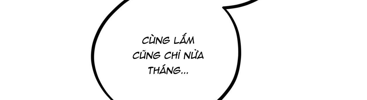 đọc truyện Những Chú Thỏ Của Hapypy Chương 22 ảnh 387 tại Giả Dược