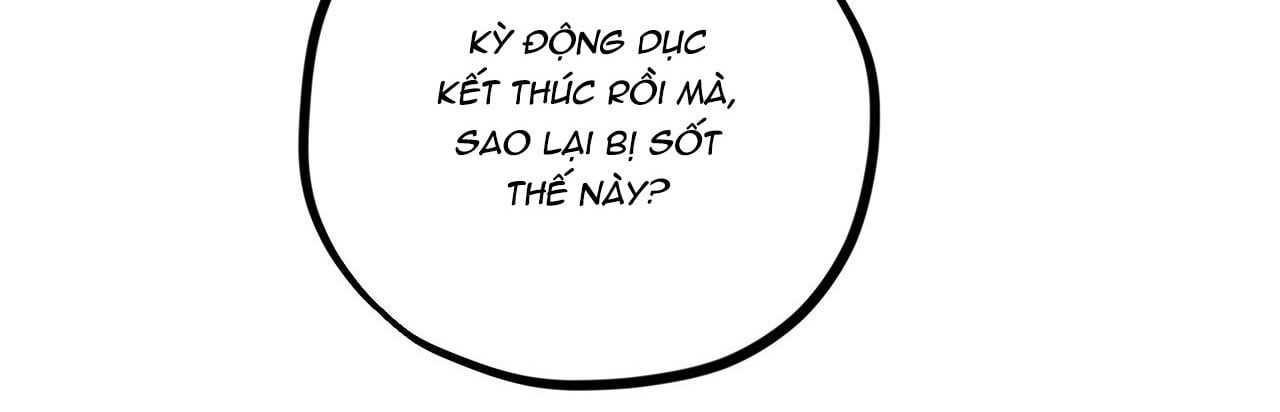 đọc truyện Những Chú Thỏ Của Hapypy Chương 22 ảnh 489 tại Giả Dược