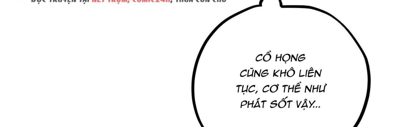 đọc truyện Những Chú Thỏ Của Hapypy Chương 22 ảnh 494 tại Giả Dược
