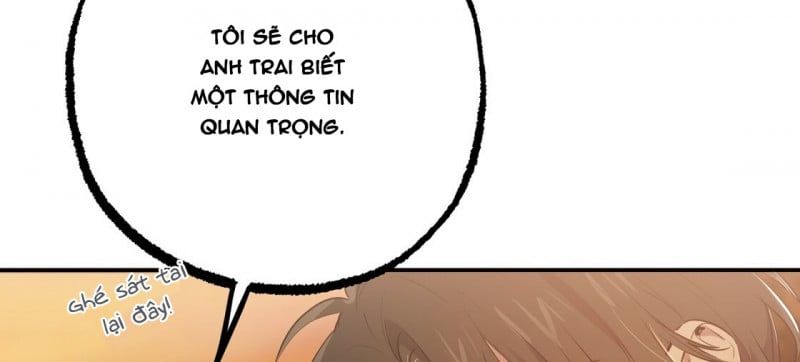 đọc truyện Những Chú Thỏ Của Hapypy Chương 23 ảnh 163 tại Giả Dược