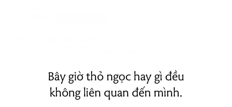 đọc truyện Những Chú Thỏ Của Hapypy Chương 23 ảnh 187 tại Giả Dược