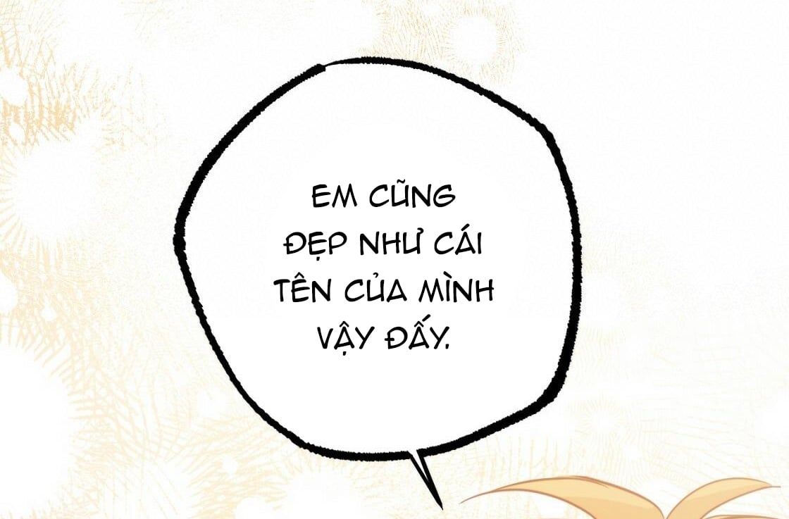 đọc truyện Những Chú Thỏ Của Hapypy Chương 24 ảnh 224 tại Giả Dược