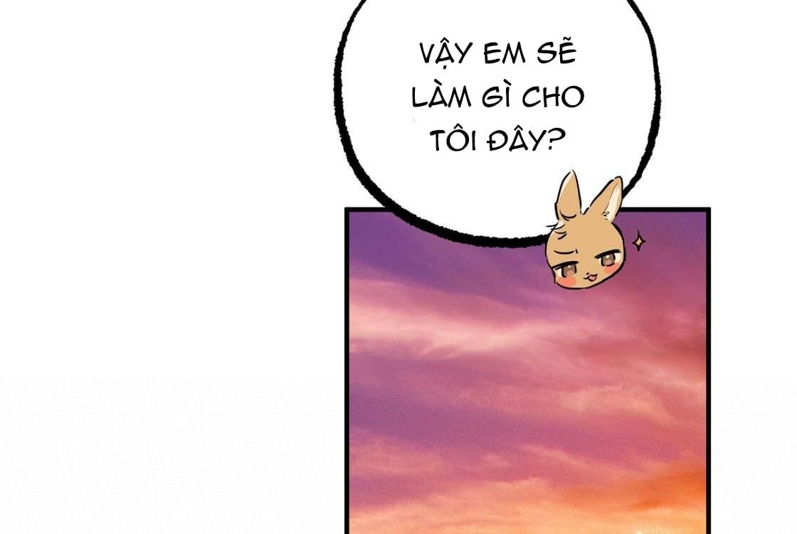 đọc truyện Những Chú Thỏ Của Hapypy Chương 24 ảnh 254 tại Giả Dược